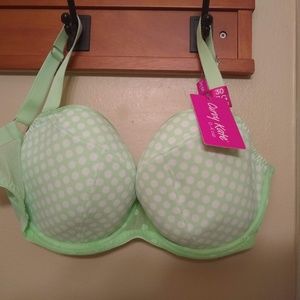 Curvy Kate Daily Dream Bra